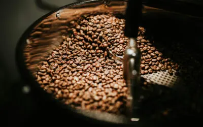 How Science is Revolutionizing Home Coffee Roasting